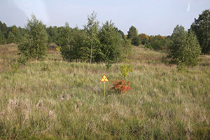 Radiation signs along the road