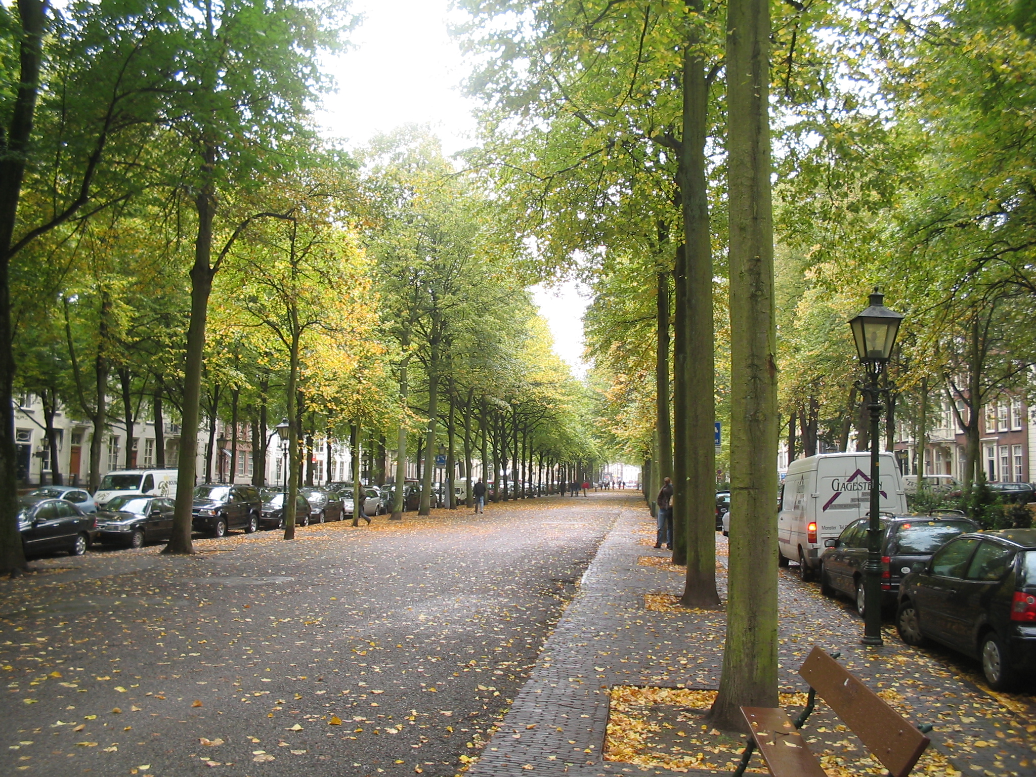 Lange voorhout