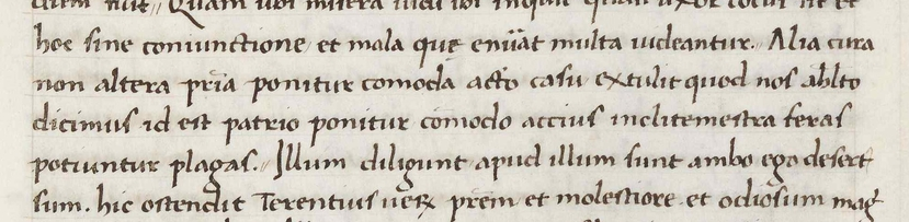NELIS Image 2 Donatus manuscript