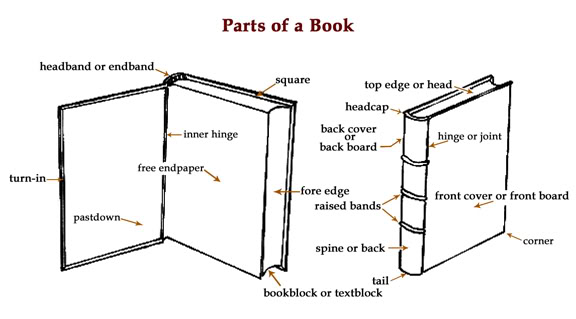 https://upload.wikimedia.org/wikipedia/commons/thumb/a/af/Parts-of-a-Book.jpg/220px-Parts-of-a-Book.jpg