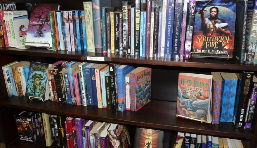 Medieval Literature as Young Adult Fiction?