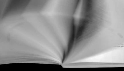 The many meanings of reading (3). Speed.