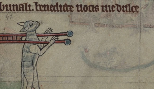 The Cat in Medieval Western Europe