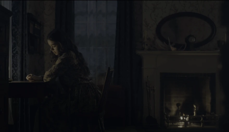 Who Exactly is Mad? A Reflection on the Theme of Madness in Dickinson (2019)