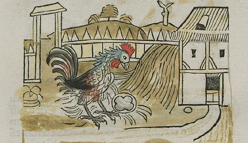The Rooster & the Pearl: A Little Aesopic Odyssey
