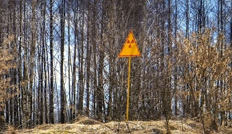 Welcome to the Chernobyl Nature Reserve