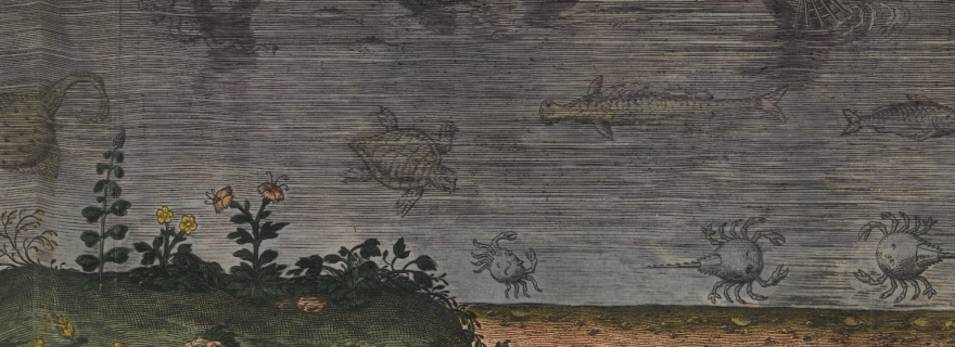 Fish out of Water: Collecting Aquatic Animals in the Early Modern Period