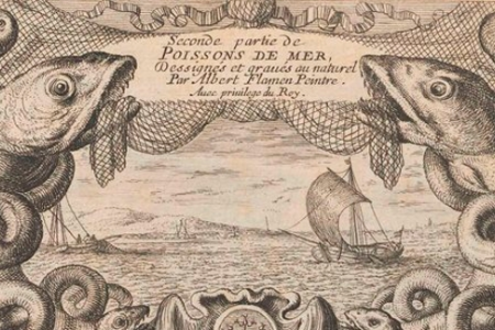 'Fish and Fiction': Fish Week on the LUCAS Blog
