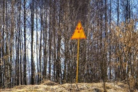 Welcome to the Chernobyl Nature Reserve
