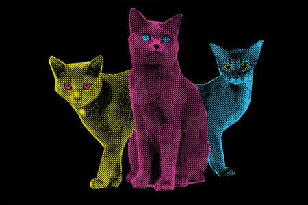 Radioactive Felines