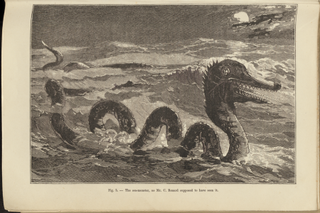 Monsters, Sea-Monks, and Mermaids: Strange Creatures from the Sea from Antiquity to the Modern Age