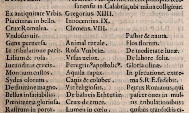 Dante Aramideh image 3
