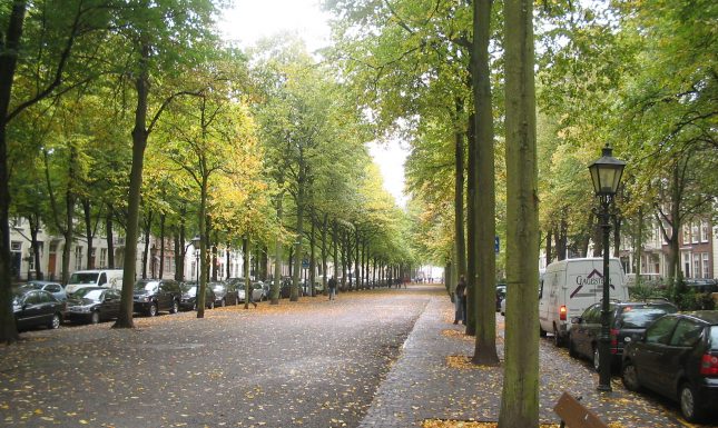 Lange voorhout