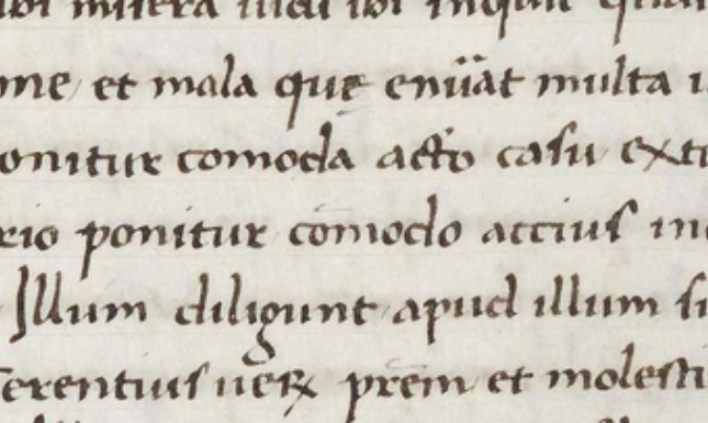 NELIS Image 2 Donatus manuscript
