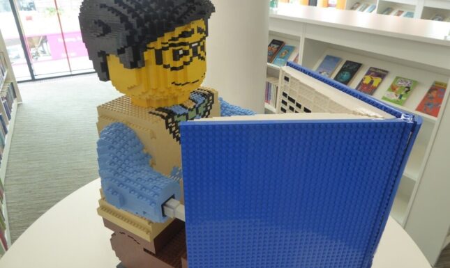 Praal lego blog reading